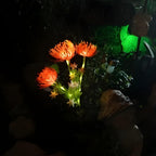 Solar Blumen Garten Lichter LED Pfahlleuchten Außen Wasserdicht Blumen Weg Lichter Hof Dekor Beleuchtung