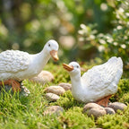 Weiße Entenstatuen Set Minimalist Bauernhaus Garten Dekor Großes Harz Entenpaar Outdoor Tierfiguren Veranda Eingang Akzente