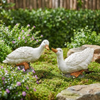 Weiße Entenstatuen Set Minimalist Bauernhaus Garten Dekor Großes Harz Entenpaar Outdoor Tierfiguren Veranda Eingang Akzente