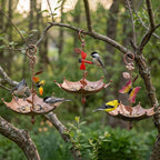 Metallschirm-Vogelfutter, hängende Wildvogel-Samenschalen, Gartendekoration für Vogelliebhaber, Fly-Through-Vogelbad-Hinterhofverzierung